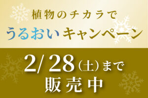 植物のチカラでうるおいキャンペーン!